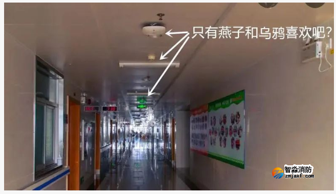 1659584078164426.png image.png